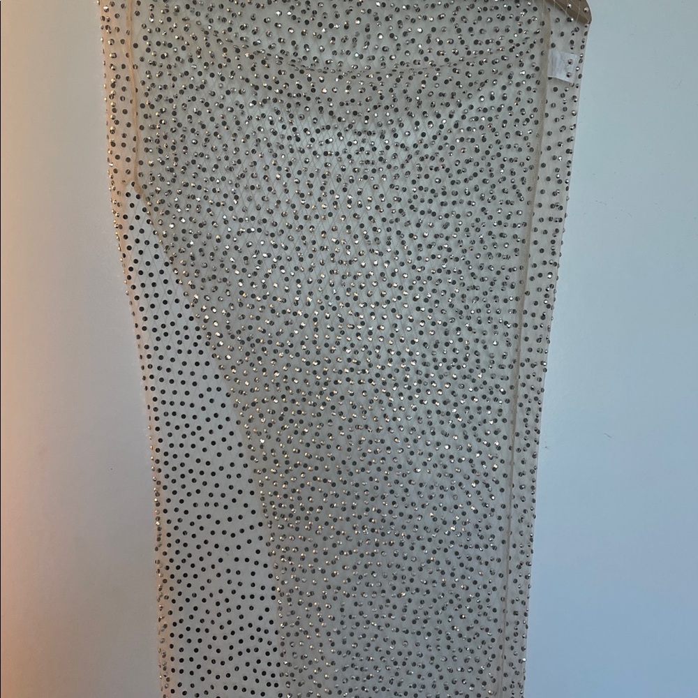Sheer Silver sparkly being stone cover up
